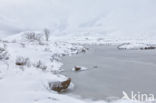 Rannoch Moor