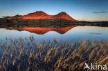 Rondane National Park