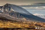 Rondane National Park