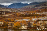 Rondane National Park