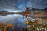 Rondane National Park