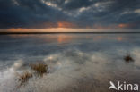 Waddensea