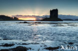 Castle Stalker