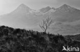 Cuillin Hills