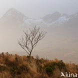 Cuillin Hills