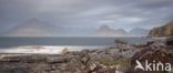 Elgol