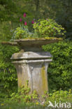 Estate De Tempel