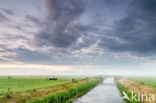 Nationaal Park Weerribben-Wieden