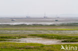 Nationaal park Schiermonnikoog