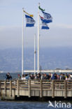 Pier 39