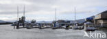 Pier 39