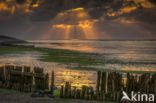 Wadden Sea