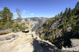 Yosemite National park