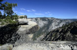 Yosemite National park