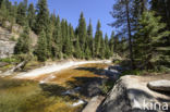 Yosemite National park