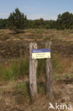 Nationaal Park Loonse en Drunense Duinen