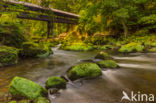 Naturpark Südeifel