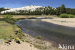 Yosemite National Park