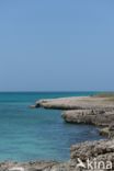 Aruba