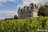 Château de Monbazillac