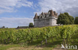 Château de Monbazillac