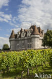 Château de Monbazillac