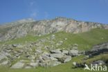 Grossglockner Hochalpenstrasse