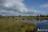 Nationaal Park de Groote Peel