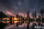 Nationaal Park Drents-Friese Wold