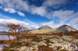 Rondane National Park