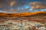 Rondane National Park