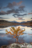 Rondane National Park