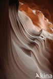 Antelope Canyon