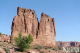 Arches National Park