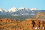 Arches National Park