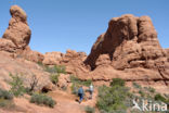 Arches National Park