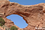 Arches National Park