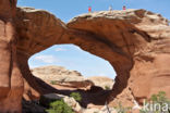 Arches National Park