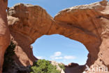 Arches National Park