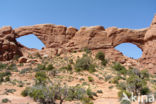 Arches National Park