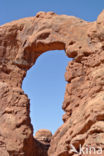 Arches National Park