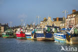 Barfleur