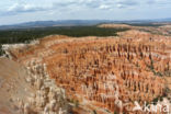 Bryce Canyon National park