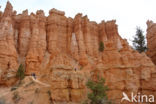 Bryce Canyon National park