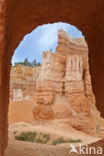 Bryce Canyon National park