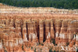 Bryce Canyon National park