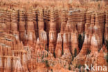 Bryce Canyon National park