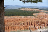 Bryce Canyon National park