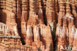 Bryce Canyon National park