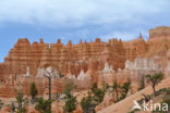 Bryce Canyon National park